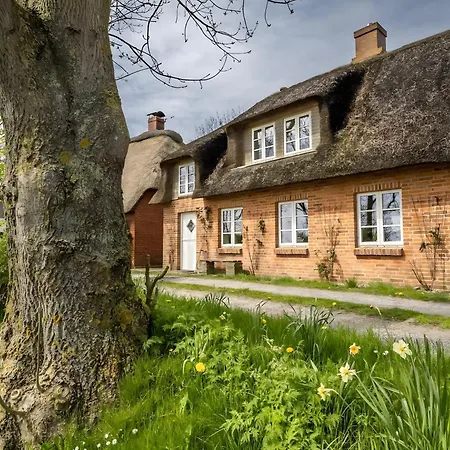 Westertilli 8 Reetdachhaus Mit