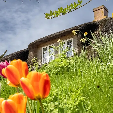 Feriehus Westertilli 8 Reetdachhaus Mit