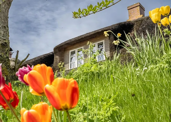 Westertilli 8 Reetdachhaus Mit *